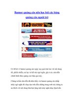 Banner quảng cáo nên học hỏi các bảng quảng cáo ngoài trờ pptx