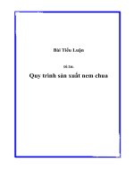 quy trình sản xuất nem chua