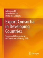 Export Consortia in Developing Countries docx