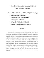 Tiểu luận: Dự báo vốn khả dụng của NTTM các nước và thực tế Việt Nam doc