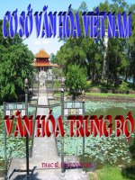 BAI MO DAU VĂN HÓA ppt