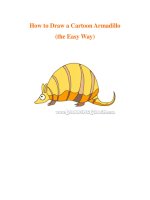 How to Draw a Cartoon Armadillo (the Easy Way) docx