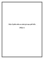 Một số phần mềm an ninh giả mạo phổ biến (Phần 4) ppt