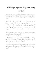 Mách bạn mẹo đốt cháy calo trong cơ thể pptx