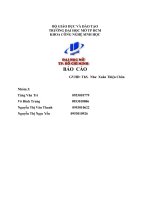 Luận văn: Cách thức nghiên cứu chất màu họ Anthocyanin doc