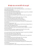 SỰ KHÁC NHAU GIỮA CON TRAI VÀ CON GÁI