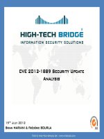 CVE 2012-1889 Security Update Analysis pdf