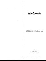 Astro Economics - A Study of Astrology & the Business Cycle pot