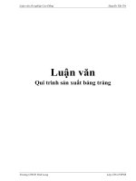 Luận văn đề tài: : Qui trình sản xuất báng tráng doc