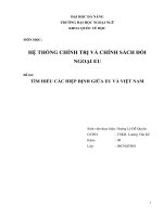 Đề tài: TÌM HIỂU CÁC HIỆP ĐỊNH GIỮA EU VÀ VIỆT NAM pdf