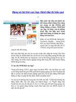 Mạng xã hội lĩnh vực hẹp: Kênh tiếp thị hiệu quả doc