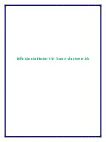 Diễn đàn của Hacker Việt Nam bị tấn công tê liệt ppt