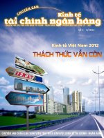 Chuyên san kinh tế tài chính ngân hàng docx