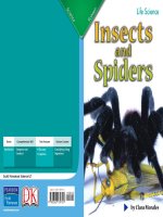 insectsandspiders