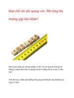 Hạn chế chi phí quảng cáo: Mở rộng thị trường gặp khó khăn? doc