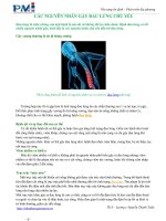 CÁC NGUYÊN NHÂN GẬY ĐAU LƯNG CHỦ YẾU potx