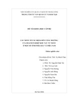 Báo cáo đề tài: Các nhân tố tác động đến tăng trưởng của doanh nghiệp khui vực tư nhân ở một số tỉnh phía bắc và phía nam pdf