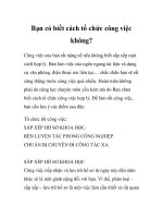 Bạn có biết cách tổ chức công việc không? doc