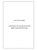 Báo cáo tốt nghiệp: Lý luận chung về vốn và tạo lập vốn của doanh nghiệp trong nền kinh tế thị trường pdf