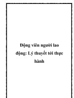 Động viên người lao động: Lý thuyết tới thực hành pdf