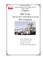 Tiểu luận: Gia công Polyme ppt