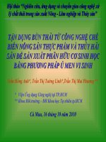 Tận dụng bùn thải từ công nghệ chế biến nông sản thực phẩm và thủy hải sản để sản xuất phân hữu cơ sinh học bằng phương pháp ủ men vi sinh potx