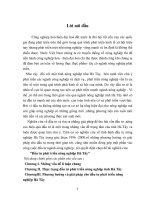 Công nghiệp hoá-hiện đại hoá đất nước là đòi hỏi tất yếu pot