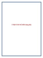 5 TIỆN ÍCH MÃ HÓA hàng đầu ppt