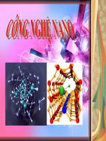 Đề tài : Hiệu ứng bề mặt ở cấu trúc na nô pot