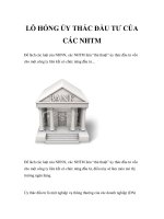 LỖ HỎNG ỦY THÁC ĐẦU TƯ CỦA CÁC NHTM doc