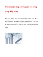 Câu chuyện tăng trưởng của các công ty tại Việt Nam pptx