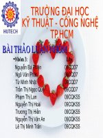 tiểu luận  tiềm năng năng lượng tái tạo ở việt nam