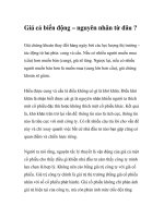 Giá cả biến động – nguyên nhân từ đâu ? pdf