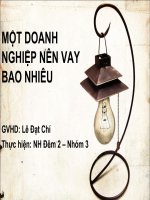 tiểu luận tài chính nghiệp một doanh nghiệp nên vay bao nhiêu