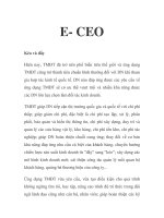 E- CEO potx