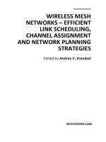 WIRELESS MESH NETWORKS – EFFICIENT LINK SCHEDULING, CHANNEL ASSIGNMENT AND NETWORK PLANNING STRATEGIES pptx