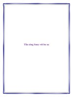 Tấn công Sony với ba xu doc