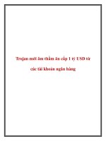 Trojan mới âm thầm ăn cắp 1 tỷ USD từ các tài khoản ngân hàng pdf