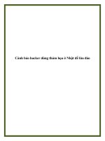 Cảnh báo hacker dùng thảm họa ở Nhật để lừa đảo. docx