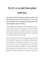 Xử lý vỏ cà phê làm phân sinh học ppt