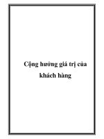 Cộng hưởng giá trị của khách hàng pdf
