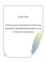 LUẬN VĂN: Tìm hiểu các nguyên nhân dẫn đến việc mất khả năng thanh khoản và giải pháp để lượng hoá được nó, là vấn đề sống còn của một ngân hàng potx