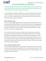 LÀM SAO ĐỂ KHÔNG CÒN HÔI MIỆNG pot