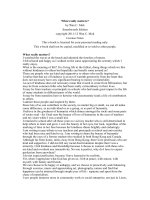 What really matters? by Wan C. Mok docx