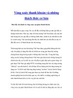 Vòng xoáy thanh khoản và những thách thức cơ bản pdf