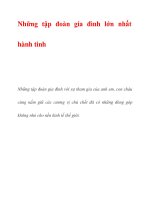 Những tập đoàn gia đình lớn nhất hành tinh pdf