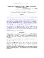 Báo cáo khoa học : ẢNH HƯỞNG CỦA CÁC MỨC BỘT SẮN KHÁC NHAU ĐẾN CHẤT LƯỢNG BÚP NGỌN LÁ MÍA Ủ CHUA docx