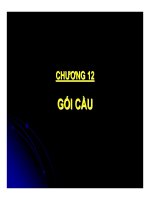 Thiết kế cầu bê tông cốt thép - Chương 12 pot