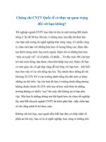 Chứng chỉ CNTT Quốc tế có thực sự quan trọng đối với bạn không? docx