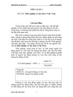 TIỂU LUẬN 1 pptx